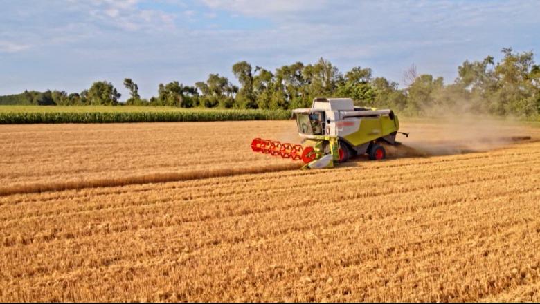 Kriza e bujqësisë! Me drithëra na furnizon Serbia. ‘Mbaheni’ në eksport me zarzavate e fruta...por na frenon ‘hija’ e pesticideve