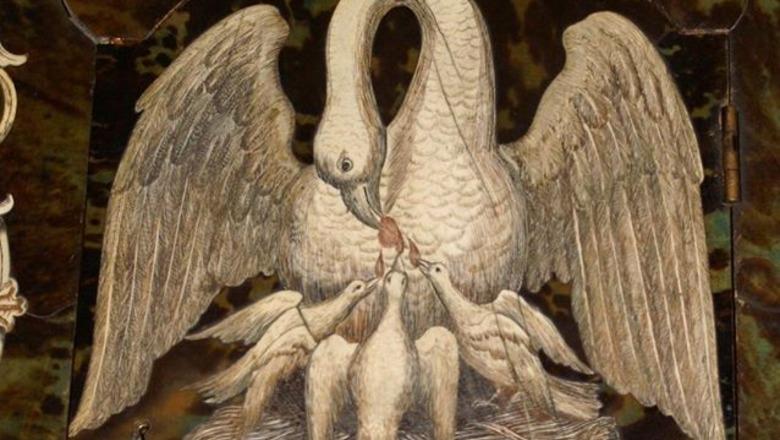 Kujdes nga mallkimi i pelikanëve dhe i flamingove…