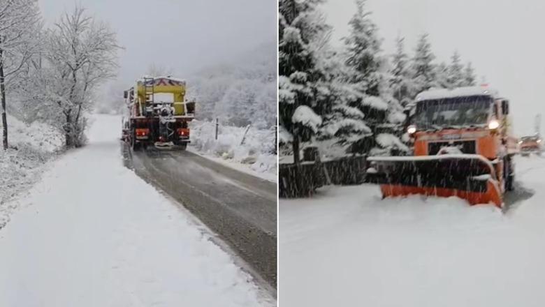 Reshje dëbore në Korçë/ Gomat dimërore të nevojshme në tre akse, ndërpritet energjia për 12 abonentë në Gurin e Kuq