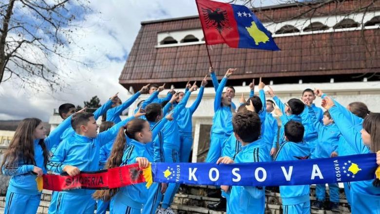 Me flamuj e piktura për Pavarësinë e Kosovës, nxënësit e shkollave i bashkohen festës