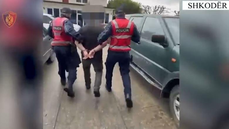 Shkodër/ Në kërkim për kultivim të lëndëve narkotike, arrestohet 44-vjeçari