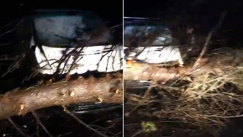 Vlorë/ Moti i keq rrëzon pemë në Pyllin e Sodës, aksidentohet një makinë! Bllokohet rruga në fshatin Shën Vasil, shkak rrëshqitja e dherave