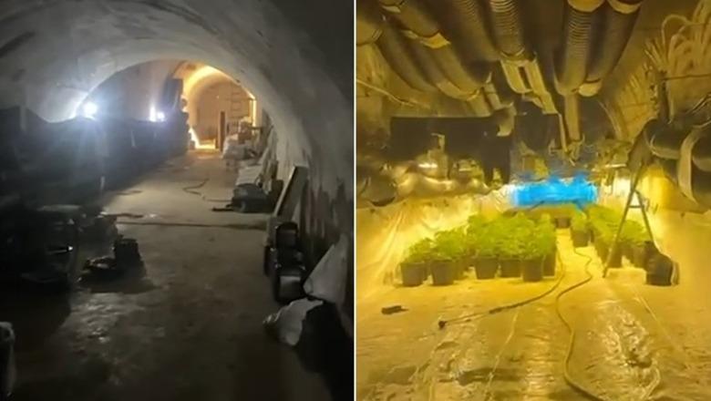 Shkodër/  Zbulohen 670 bimë kanabisi në një tunel në lagjen ’10 Korriku’, 3 në pranga dhe 3 në hetim