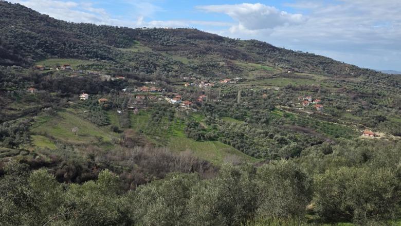 Edison Ypi: Humba në Vlosh