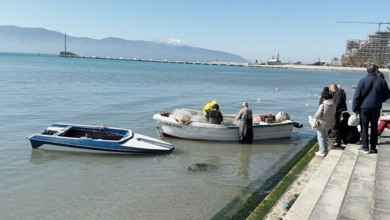 Peshkatarëve të Vlorës u shpërblehet mundi, qytetarët 'dynden' në Lungomare për të blerë peshk: Çdo gjë e freskët është më e shijshme