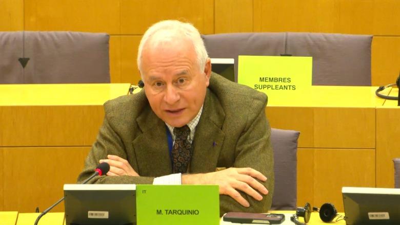 Prezantimi i draft-raportit për Shqipërinë në PE, Tarquinio: Numri i lartë i paraburgosurve, problem! Vlerësojmë propozimin e Ramës për heqjen dorë nga vetoja
