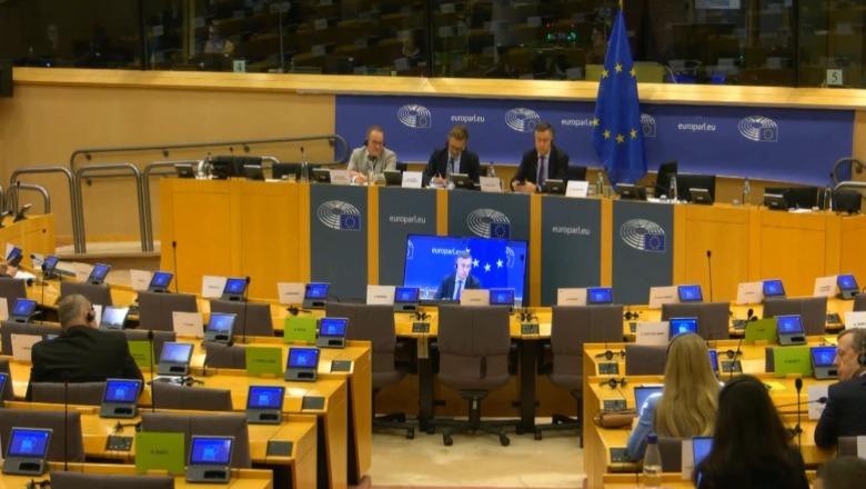 Draft-raportit për Shqipërinë në PE, Përfaqësuesja e Komisionit Evropian: Reforma elektorale, shqetësuese! Shërbimi i Jashtëm: Vlerësojmë rolin e Tiranës zyrtare në rajon