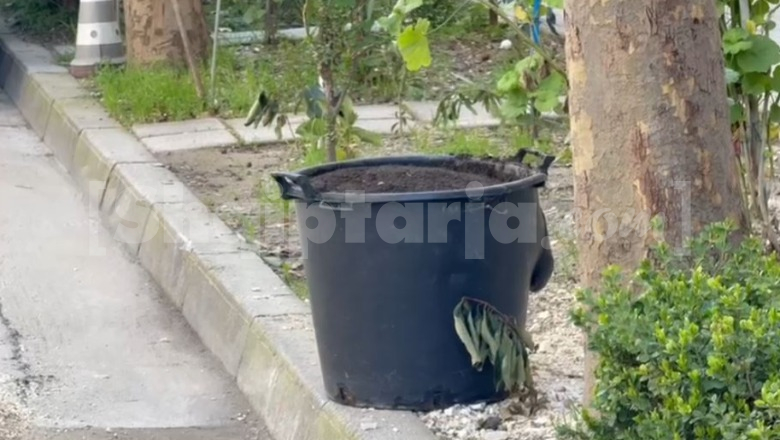 Kova me lëndë kimike ngre në këmbë policinë e Vlorës, ambientalisti: Duhet të largohet sa më shpejt, mund të shpërthejë