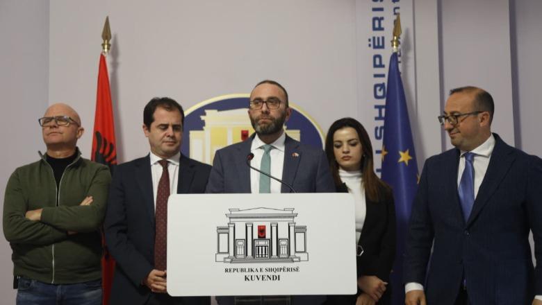 'Nga rreziku për prishjen e provave te presioni ndaj dëshmitarëve', PD: 6 arsyet pse duhet t’i hiqet imuniteti Belinda Ballukut