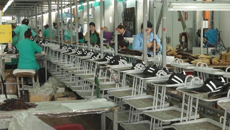 Manifaktura kërkon ndihmë nga qeveria të frenohet rënia e euros: Kursi i këmbimit po na falimenton, në 2025-ën humbën vendin e punës rreth 12 mijë punonjës