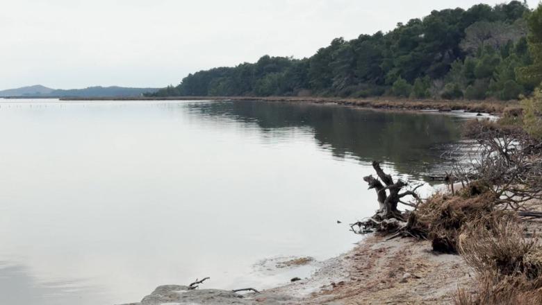 Vlorë/ Narta e mbrojtur në ‘letër’, s’ndalet gjuetia e shpendëve