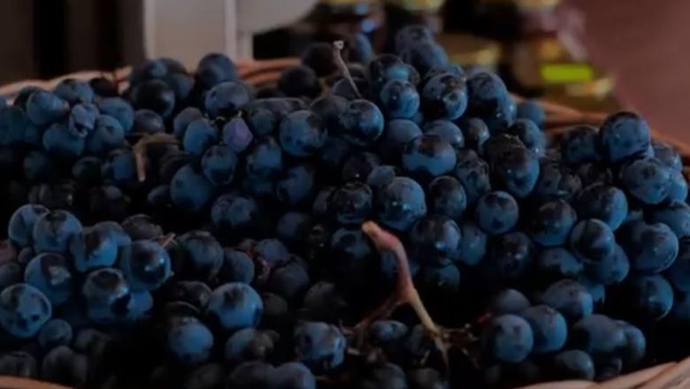 ‘Nga toka jonë në sofrën tuaj’, Panairi i Produkteve Bujqësore për dy ditë radhazi në Elbasan