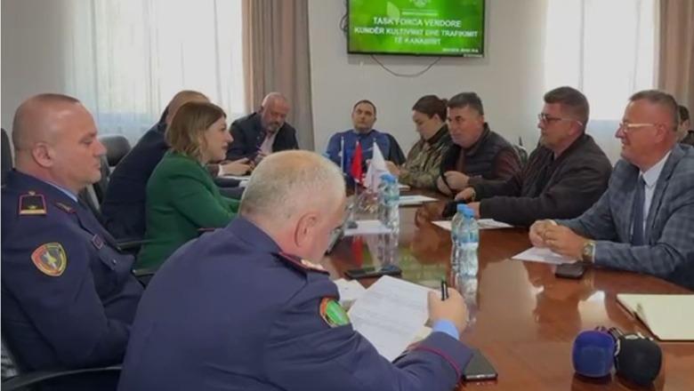 Rritet numri i 'shtëpive të barit' në Shkodër, Task Forca kundër kultivimit të kanabisit: Mbi 1500 bimë të asgjësuara dhe 18 persona të referuar në prokurori