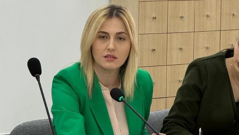 Vlorë/ Takimi me operatorët turistik, Zhupa: Bashkia është kthyer në pengesë për turizmin detar