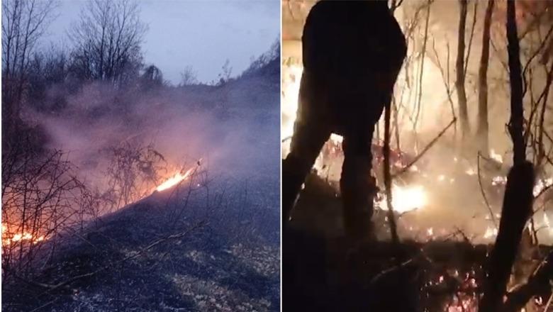 Vatër zjarri në kodrat e fshatit Somotinë në Pogradec, ndërhyjnë zjarrfikësit dhe banorët