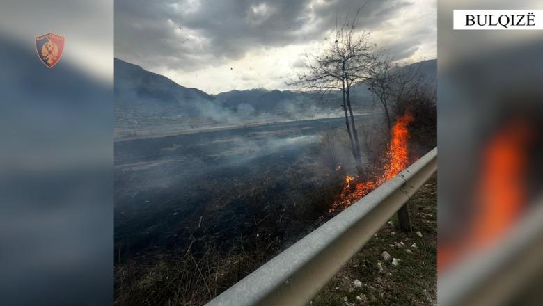 Dogjën 7 dynymë sipërfaqe me bimësi, vihen nën hetim 2 persona në Bulqizë