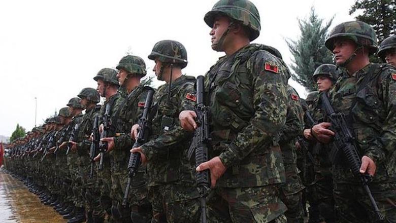 Qeveria përcakton kriteret dhe masat e kompensimit, sa do të paguhen ushtarakët kur emërohen ose komandohen me detyrë jashtë vendbanimeve të tyre