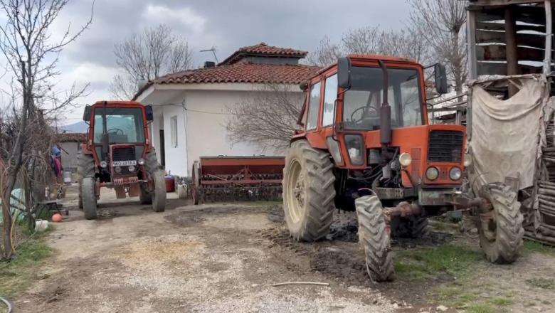 Nafta paralizon bujqësinë: Fermerët rikthehen tek kuajt në kulmin e të mbjellave: S’kemi mundësi të blejmë karburant për traktorët