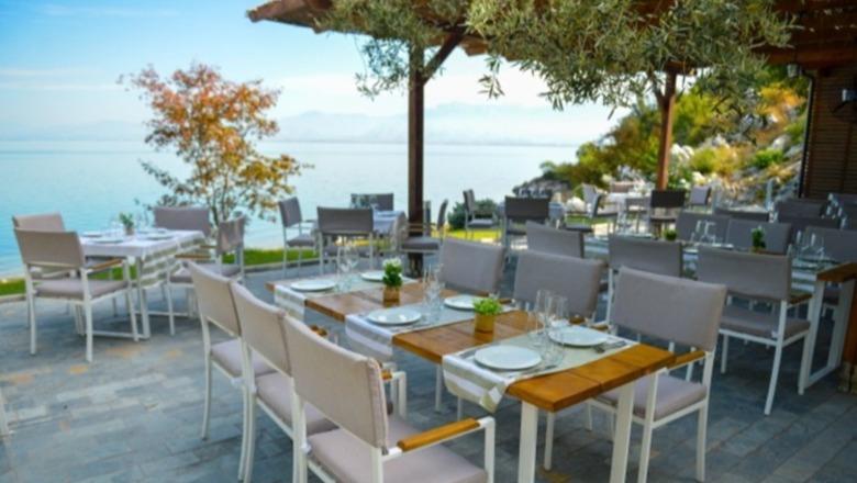 Një pemë për çdo karrige në trotuar, detyrimi i ri për baret, restorantet dhe hotelet