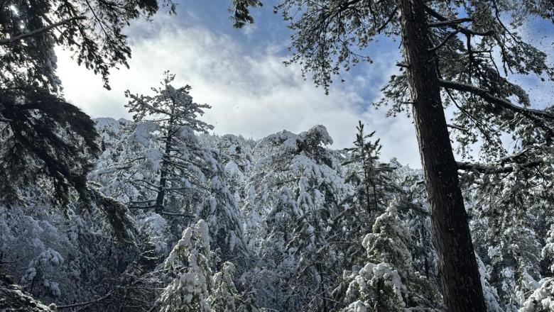Pranverë me dëborë, Malësia e Krujës nën velin e dëborës! Pamjet mbreslënëse nga Qafshtama