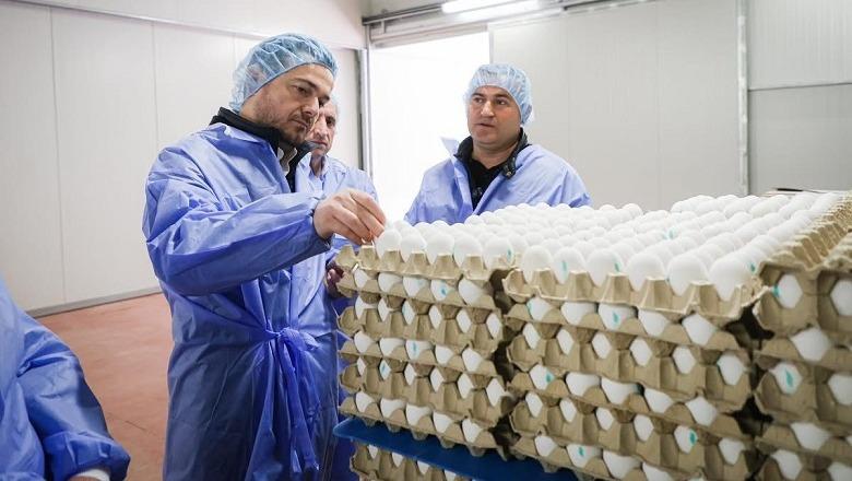 Ministri Salla në Kavajë: Shqipëria nis eksportin e vezëve “Kategoria A”, pas dakordësimit me BE