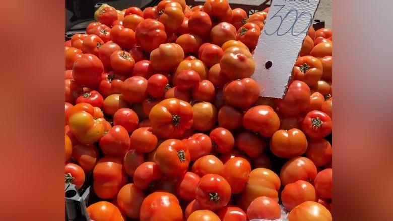 Fier, rritja e çmimit boshatis tregun! Pensionistët: Dy kokrra mollë 100 lekë, një kile domate 300 lekë, s’i blejmë dot