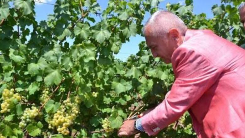 Meta: Buxheti i ulët, mungesa e fondeve IPARD dhe politikat kufizuese po lënë bujqësinë shqiptare shumë pas vendeve të rajonit