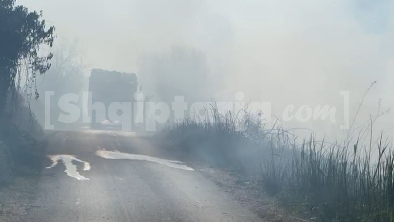 Zjarr në Përronin e Zharrëzës, sera në rrezik nga flakët, ndërhyjnë forcat zjarrfikëse