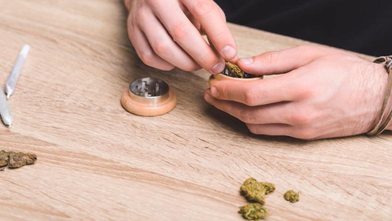 FIER/ Rritet numri i adoleshentëve që përdorin hashash, mes tyre nxënës të 9-vjecares, mjeku: Rreziku më i madh kalimi tek droga e fortë