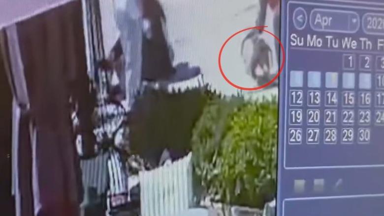 VIDEO/ Momenti kur pitbulli sulmon 4-vjeçaren në Vlorë