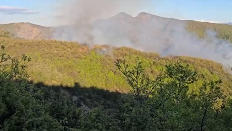 Zjarr masiv në zonën pyjore në Mirditë, shkak qirinjtë e ndezur në varreza! Punohet për shuarjen e flakëve