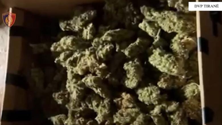 Tiranë/ Shisnin kokainë dhe kanabis në doza, në pranga 19-vjeçari dhe një tjetër