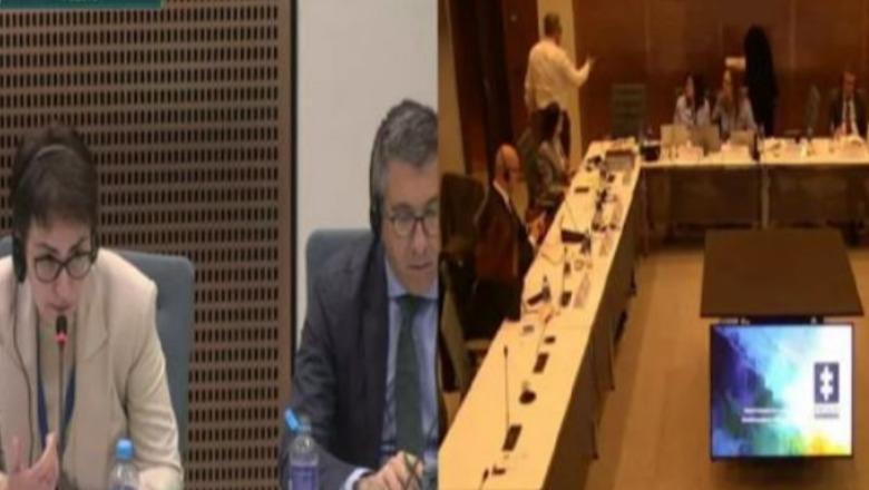 Eskortat nga Amerika Latine, Kolumbia dhe Shqipëria krijojnë ekipe të përbashkëta kundër trafikimit të qenieve njerëzore