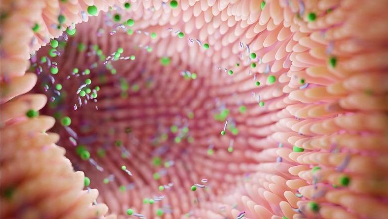 Studimi: Mikrobioma e zorrëve mund të zbulojë rrezikun e Parkinsonit përpara shfaqjes së simptomave