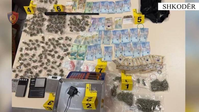 Zbulohet baza e drogës në Shkodër, në pranga dy të rinj, në kërkim bashkëpunëtori! Sekuestrohet kokainë e kanabis