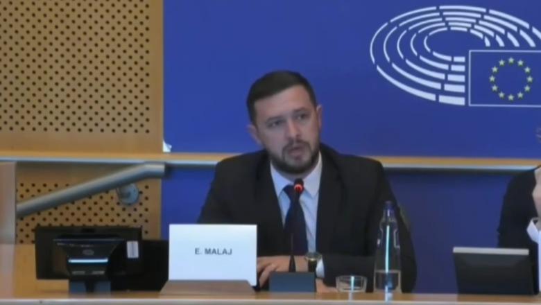 Erion Malaj takim në PE: Procesi i zgjerimit për Shqipërinë është një rrugëtim transformimi, PS ka për detyrë ta bëjë Europën reale për rininë