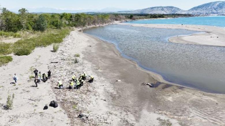 Aksion pastrimi në Velipojë, institucionet bashkojnë forcat për mbrojtjen e mjedisit