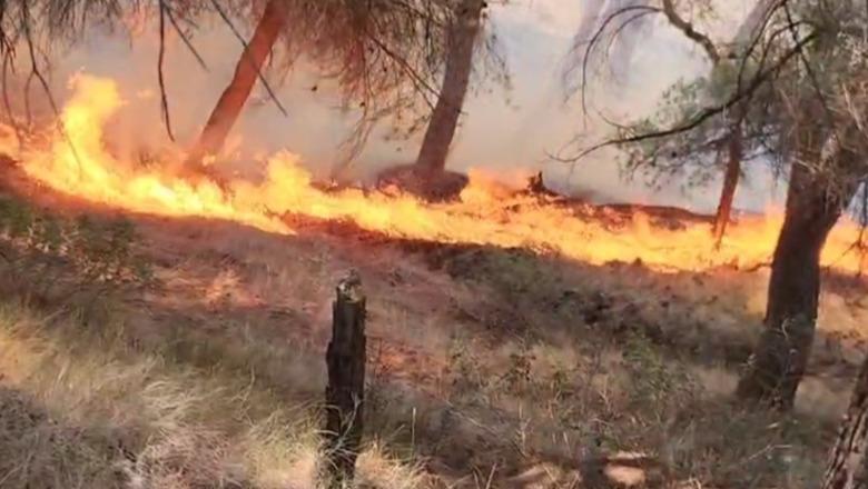 Stina e zjarreve, Haki Çako: Do të shtojmë flotën e mjeteve ajrore, por nuk mjafton! Nevojiten korridore e akses për hidrantë