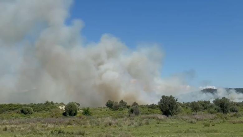 Zjarri përfshin ullishtet në Panaja, flakët përhapen me shpejtësi nga era