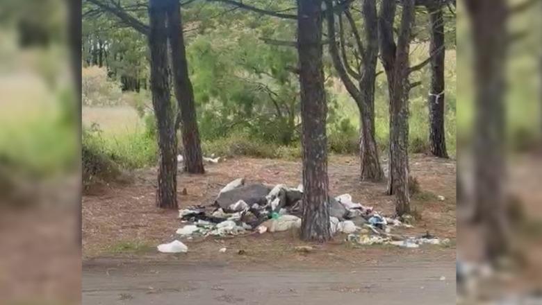 ‘Velipoja s’është gati për sezonin turistik’, deputeti i PD për Shkodrën denoncon ndotjen