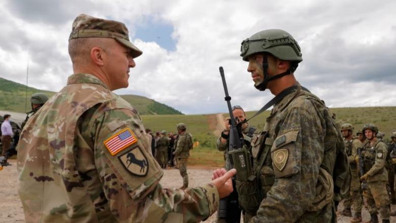 Stradner: Rezoluta amerikane për Kosovën në NATO është “sinjal i fortë politik”
