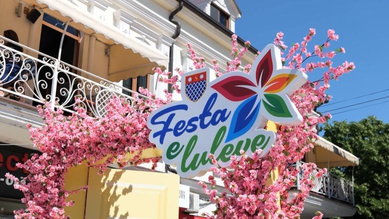 Nis Festa e Luleve në Shkodër, 4 ditë aktivitete që gjallërojnë çdo cep të qytetit 