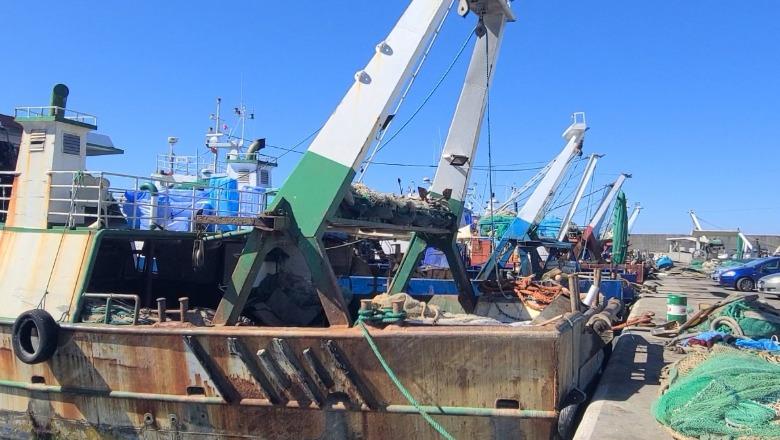 Peshkatarët e Durrësit kërkojnë subvencion për naftën: Krizë e fortë në peshkim, po falimentojmë