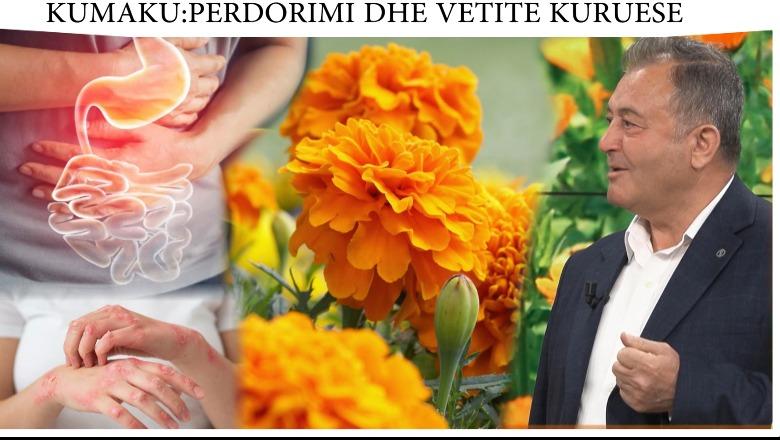 Nga rigjenerimi i lëkurës te imuniteti: Fuqia shëruese e Kumakut që duhet ta njihni