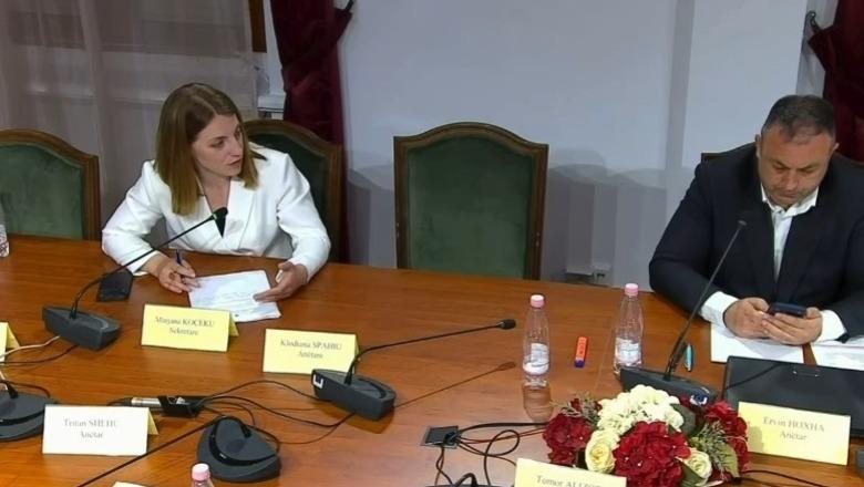 ‘Çfarë do bëjmë me Drinin?’, deputetja Koçeku-zëvendësministrit të Mjedisit: Duhet një strategji për problemin e ndotjes! Ka rëndësi ekonomike për veriun