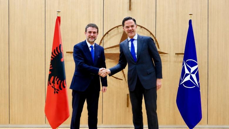Ministri i jashtëm takohet me Sekretarin e Përgjithshëm të NATO-s, Hoxha: Shqipëria do të investojë më shumë në mbrojtje dhe siguri