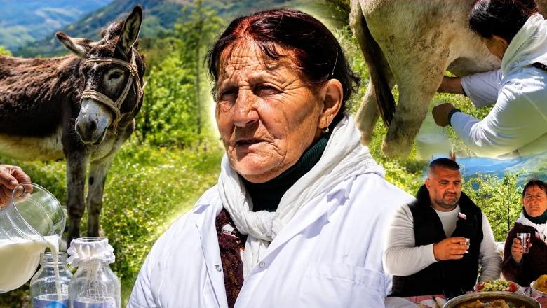 NJË NGA NE/ Historia e Nailes, 74-vjeçarja nga Orenja që kujdeset për 18 gomarica: Qumështi i tyre 150 euro/litri, ja sëmundjet që shëron