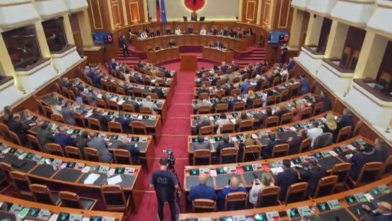 EMRAT/ Kush janë hartuesit e rezolutës së PS dhe PD për integrimin