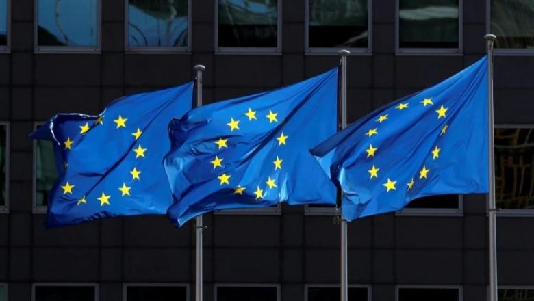 Italia dhe Austria propozojnë model 'hap pas hapi' për anëtarësimin e Ballkanit Perëndimor në BE