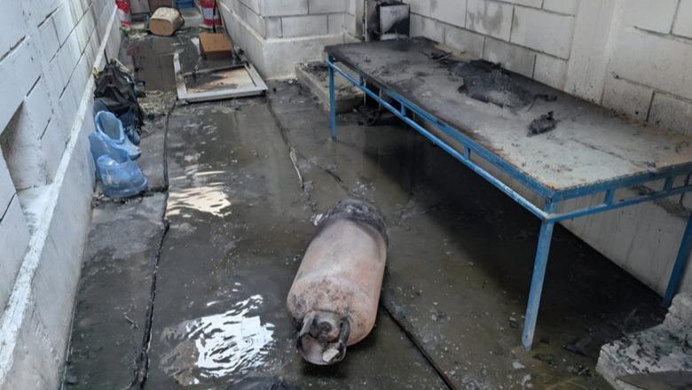 Zjarri në magazinën në Durrës që i mori jetën 25-vjeçarit nga Bangladeshi, shkëndija elektrike ndezi bombolën e gazit! Punonjësit ishin në gjumë